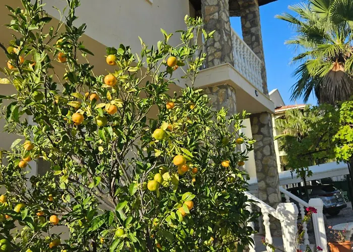 Belle ,fethiye Villa